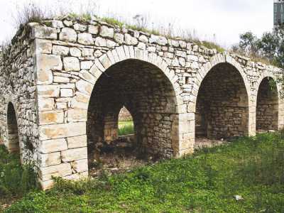 Lasciamo lo stabile per dirigerci verso la masseria vera e propria. Durante il cammino passiamo accanto alle ampie arcate del palmento, la vasca destinata alla pigiatura dell'uva e alla fermentazione dei mosti